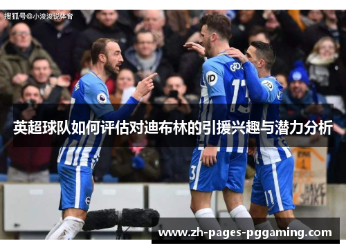 英超球队如何评估对迪布林的引援兴趣与潜力分析 英超球队如何评估对迪布林的引援兴趣与潜力分析