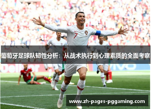 葡萄牙足球队韧性分析：从战术执行到心理素质的全面考察