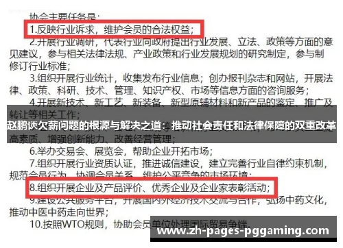 赵鹏谈欠薪问题的根源与解决之道:推动社会责任和法律保障的双重改革 赵鹏谈欠薪问题的根源与解决之道:推动社会责任和法律保障的双重改革