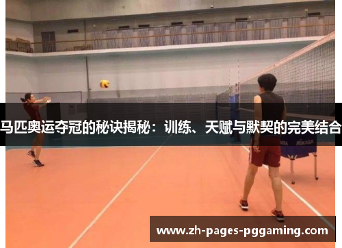 马匹奥运夺冠的秘诀揭秘：训练、天赋与默契的完美结合