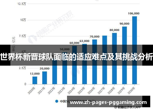 世界杯新晋球队面临的适应难点及其挑战分析