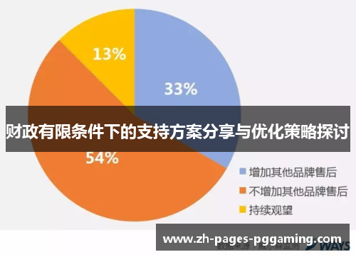 财政有限条件下的支持方案分享与优化策略探讨 财政有限条件下的支持方案分享与优化策略探讨