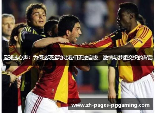 足球迷心声：为何这项运动让我们无法自拔，激情与梦想交织的背后