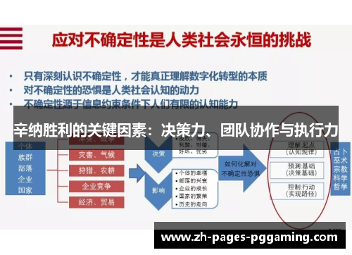 辛纳胜利的关键因素：决策力、团队协作与执行力