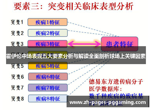 霍伊伦中场表现五大要素分析与解读全面剖析球场上关键因素
