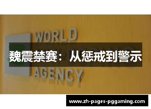 魏震禁赛：从惩戒到警示